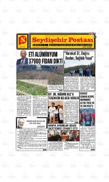 SEYDİŞEHİR POSTASI