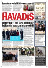 YEREL HAVADİS